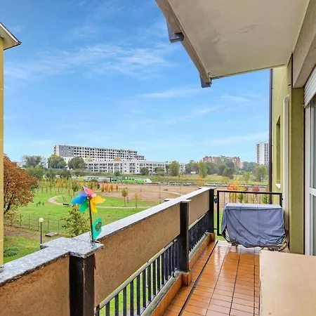 Oasis *